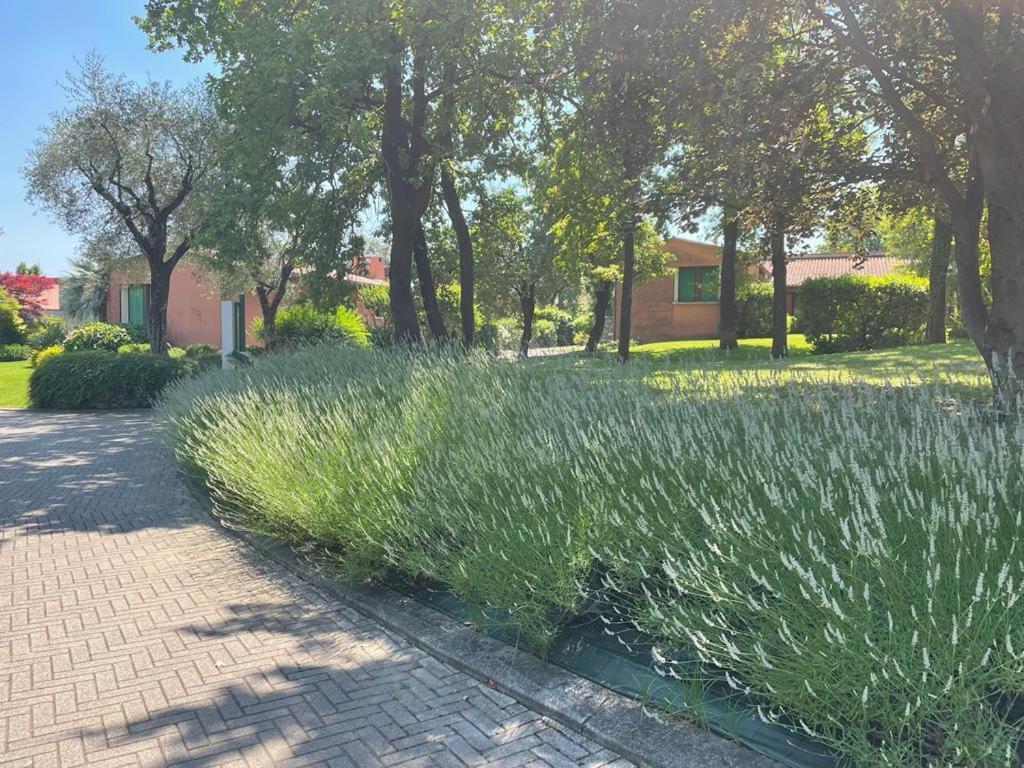 Garda Golf Country Chic Home Сойано-дель-Лаго Экстерьер фото